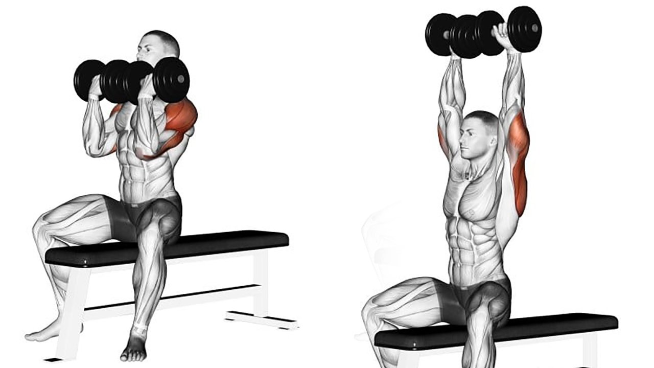 Reverse-Pec-Deck-Machine