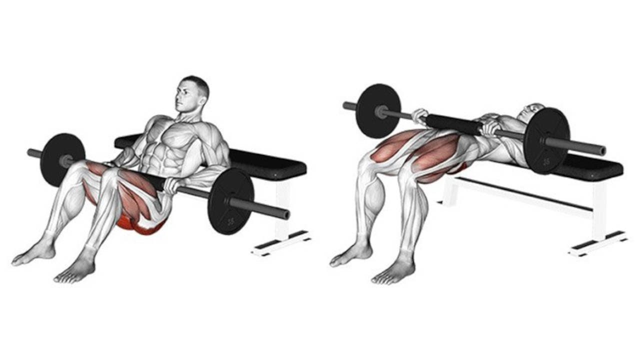 Barbell Hip Thrusts