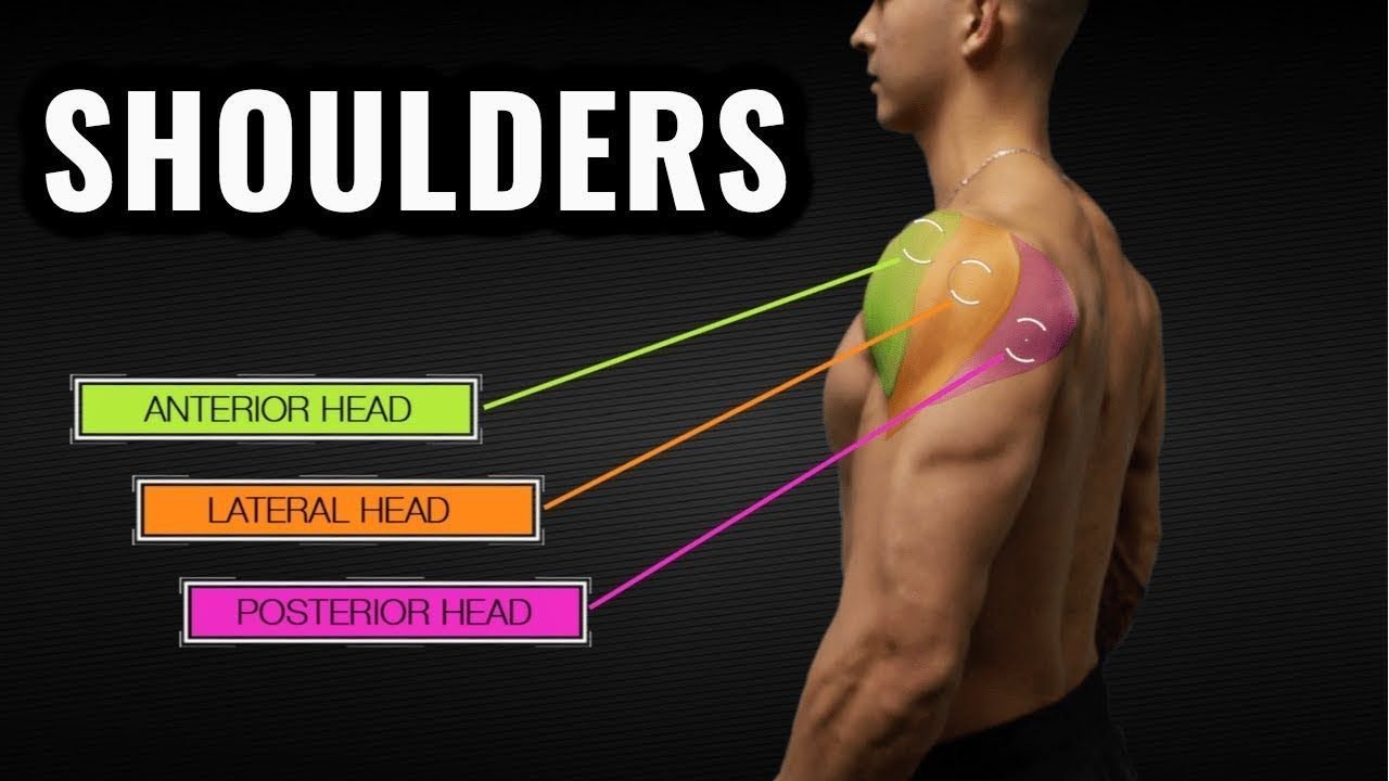 Benefits of Band Exercises for Shoulders