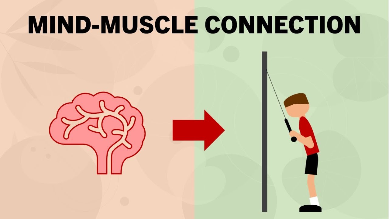 Focus on Mind-Muscle Connection