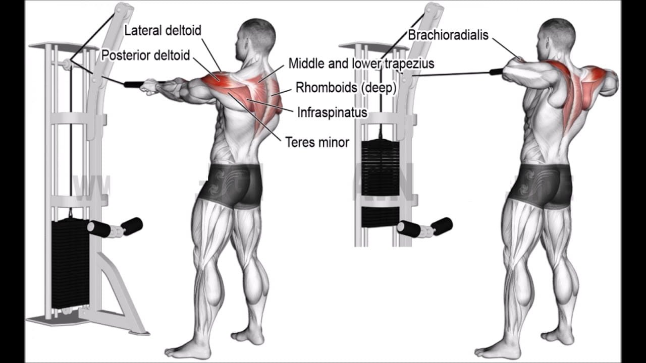 Face Pulls