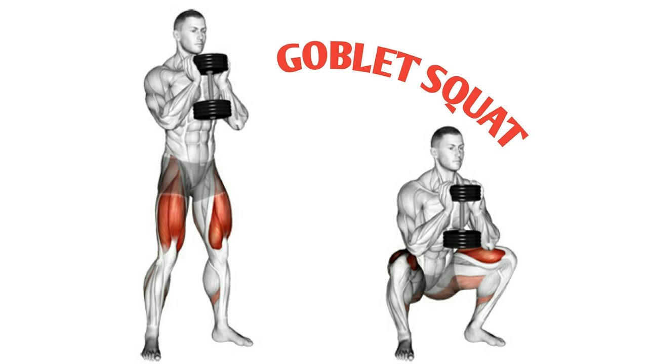 Goblet Squats