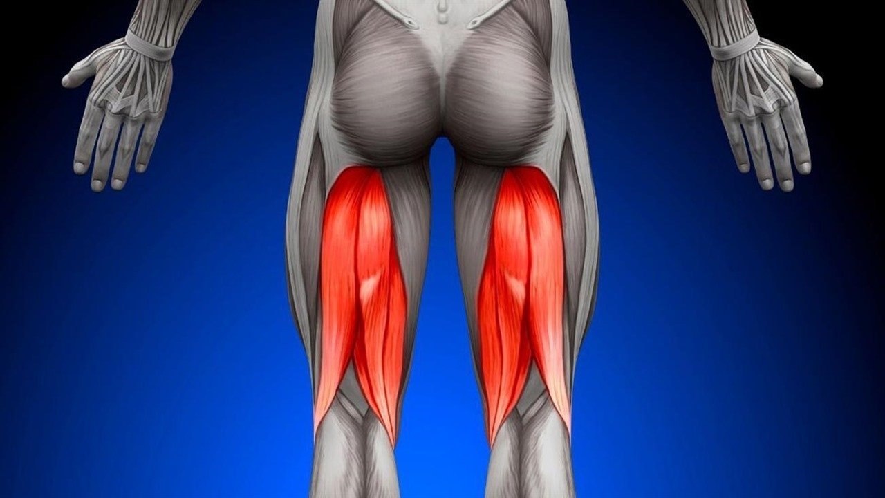 Hamstrings