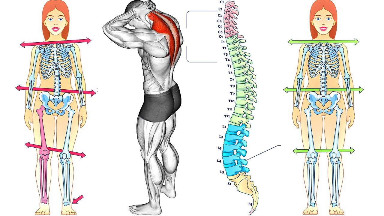 Improving Posture and Upper Back Strength