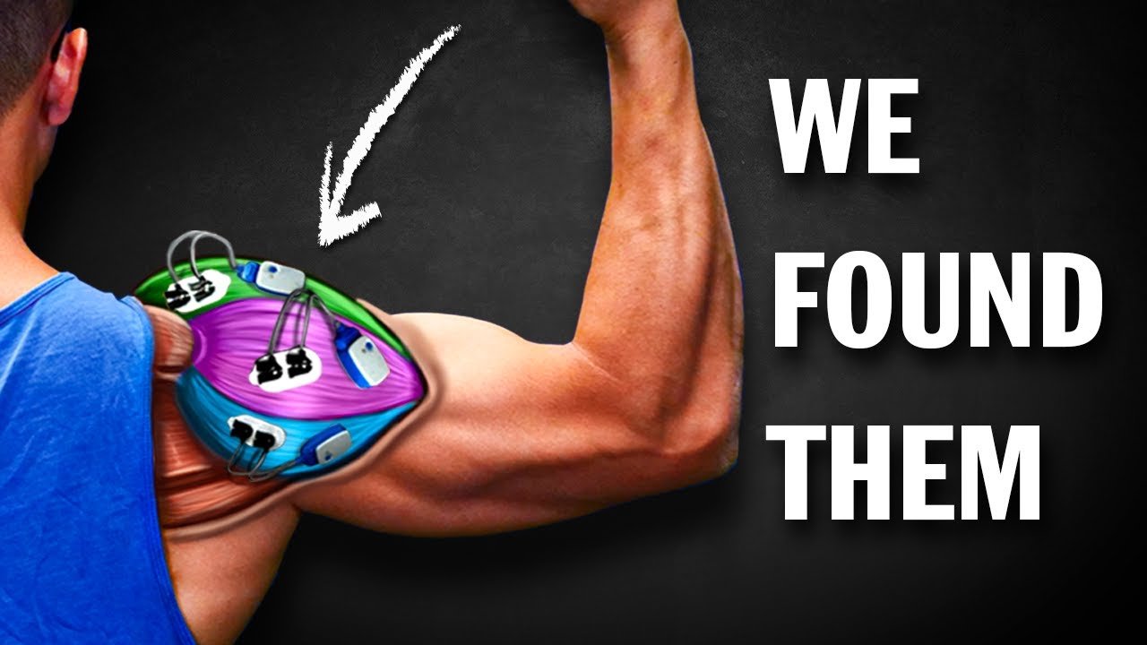 Target Muscles: Lateral (Side) Delts 