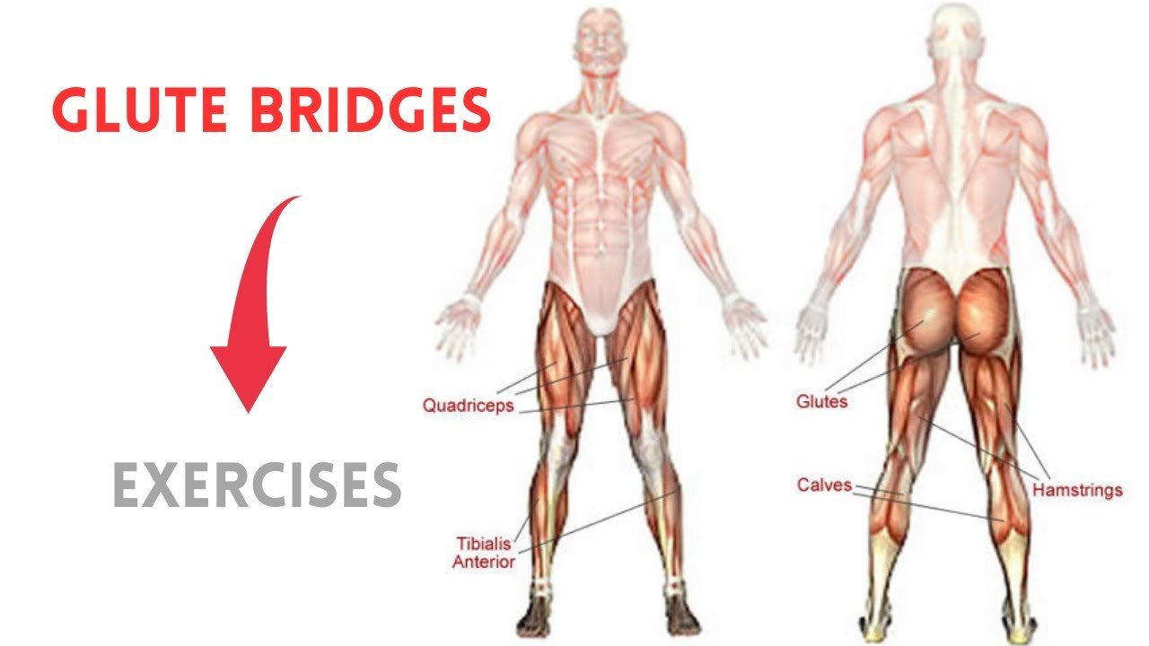 Lower Glute Exercises
