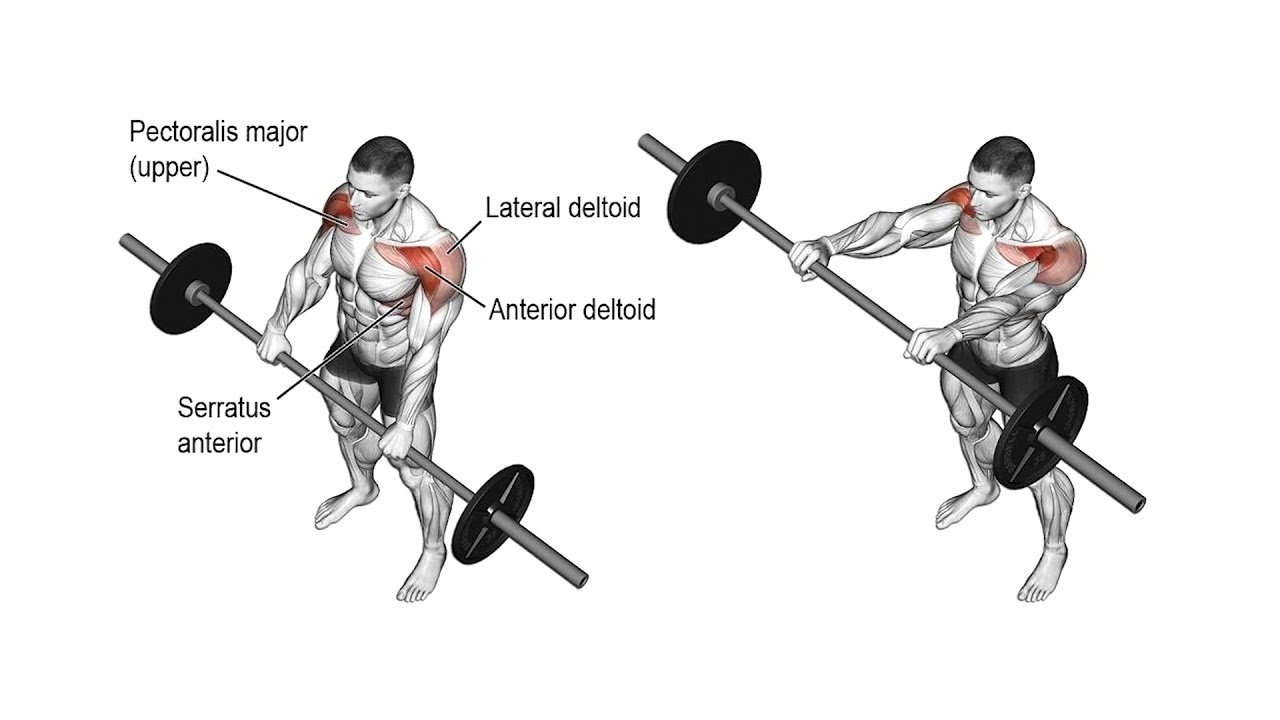 Barbell Front Raise