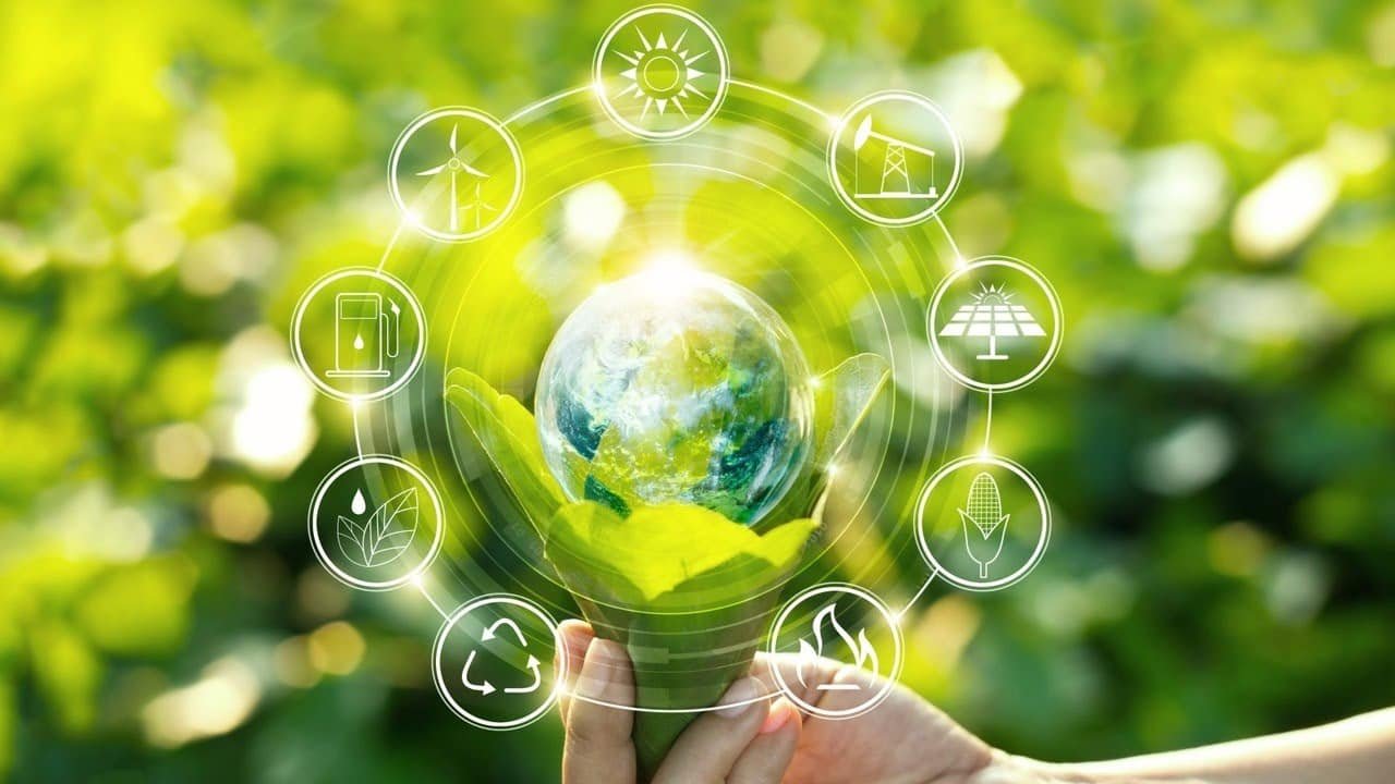 Environmental Factors and Vitality