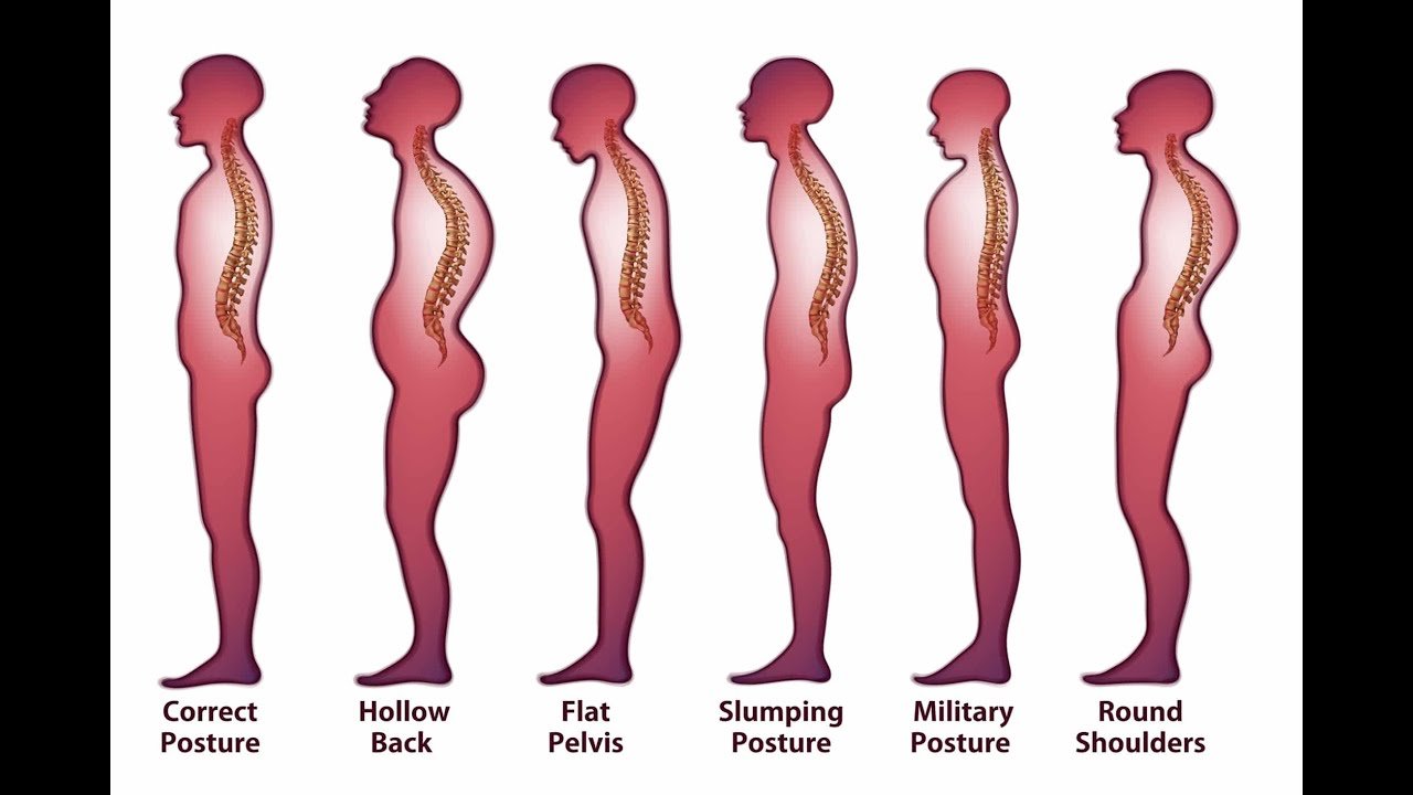 Posture and Body Mechanics