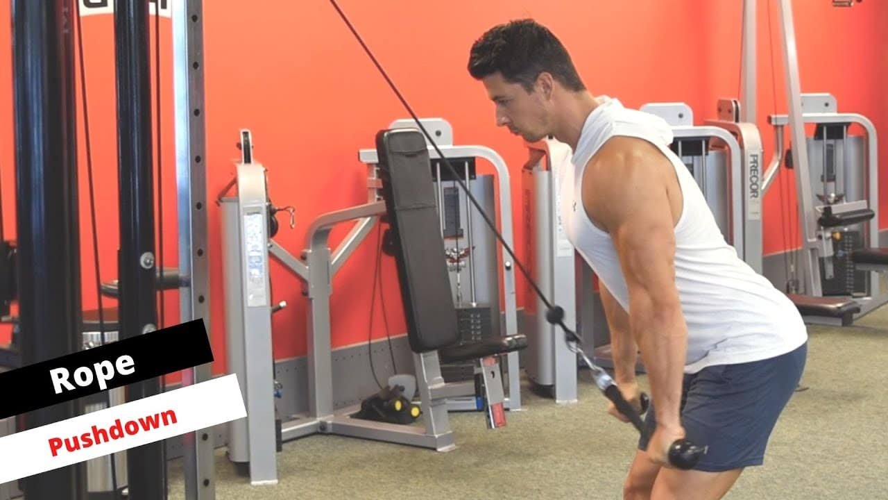 The Best Tricep Exercises for Long Head Development