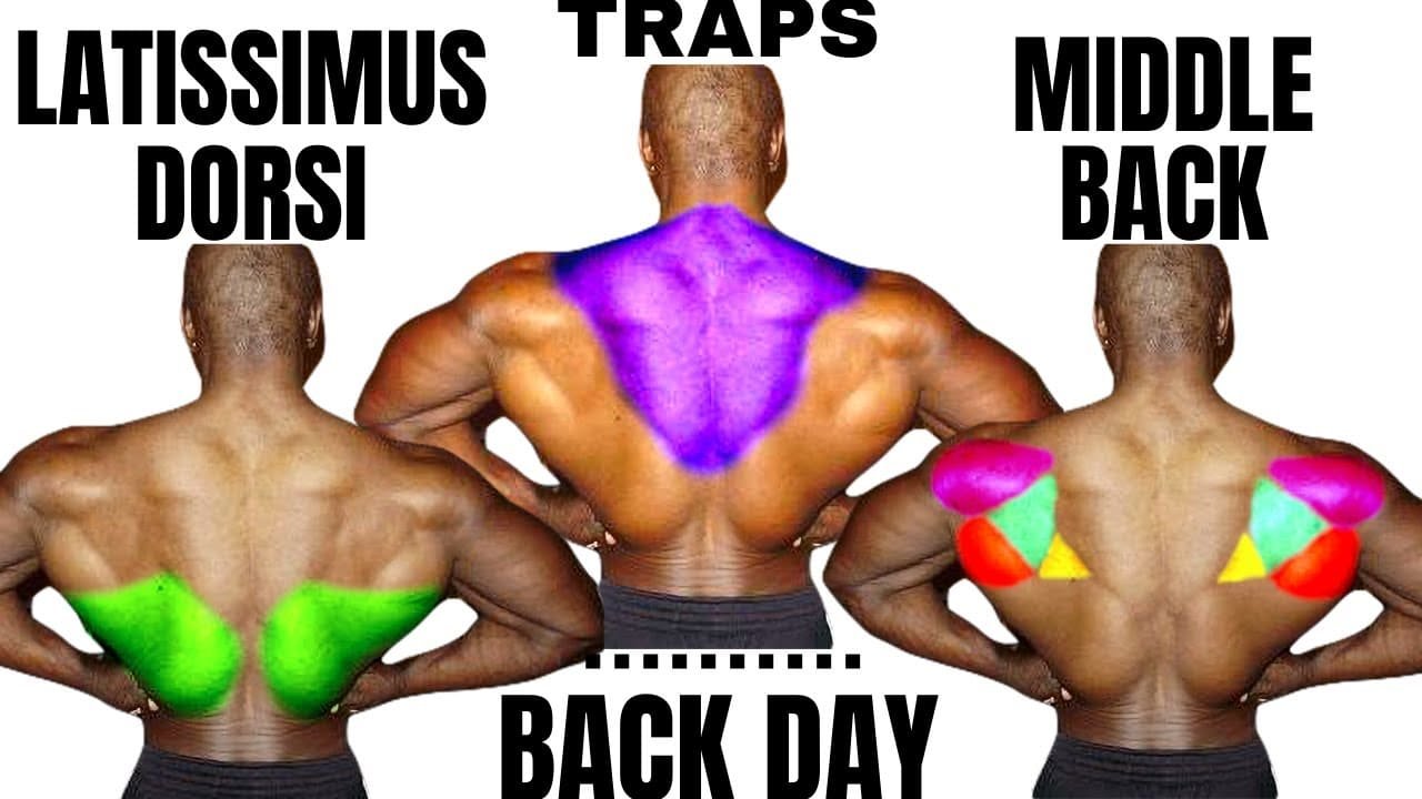 Understanding Cable Back Exercises