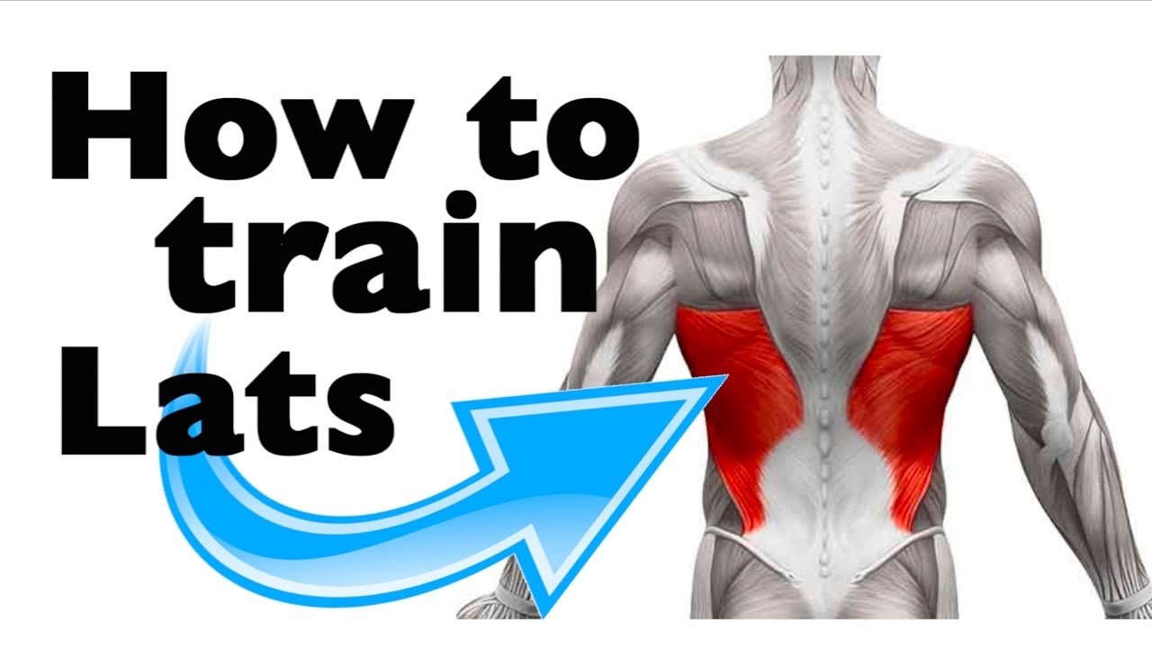 Understanding the Lower Lats