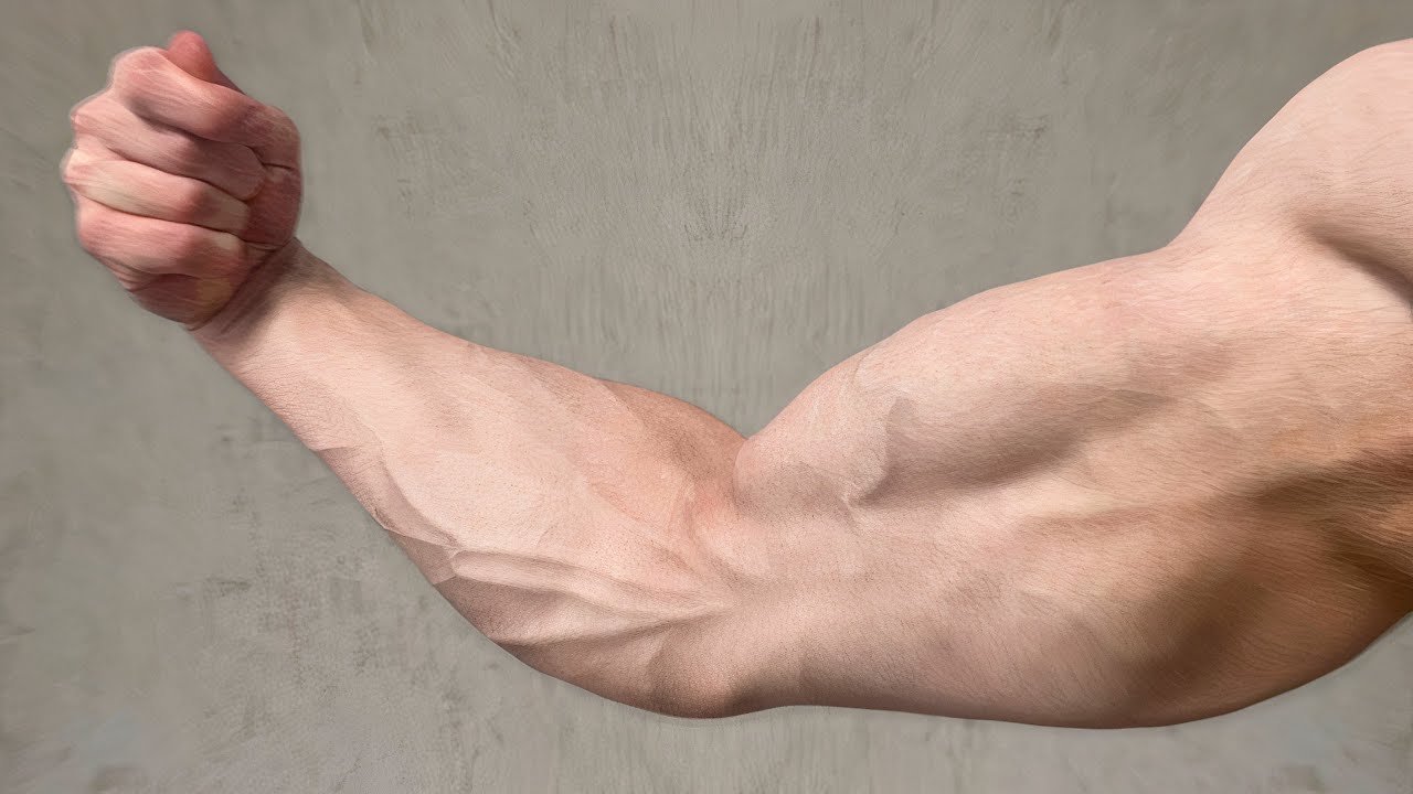 Introduction to Cable Arm Exercises