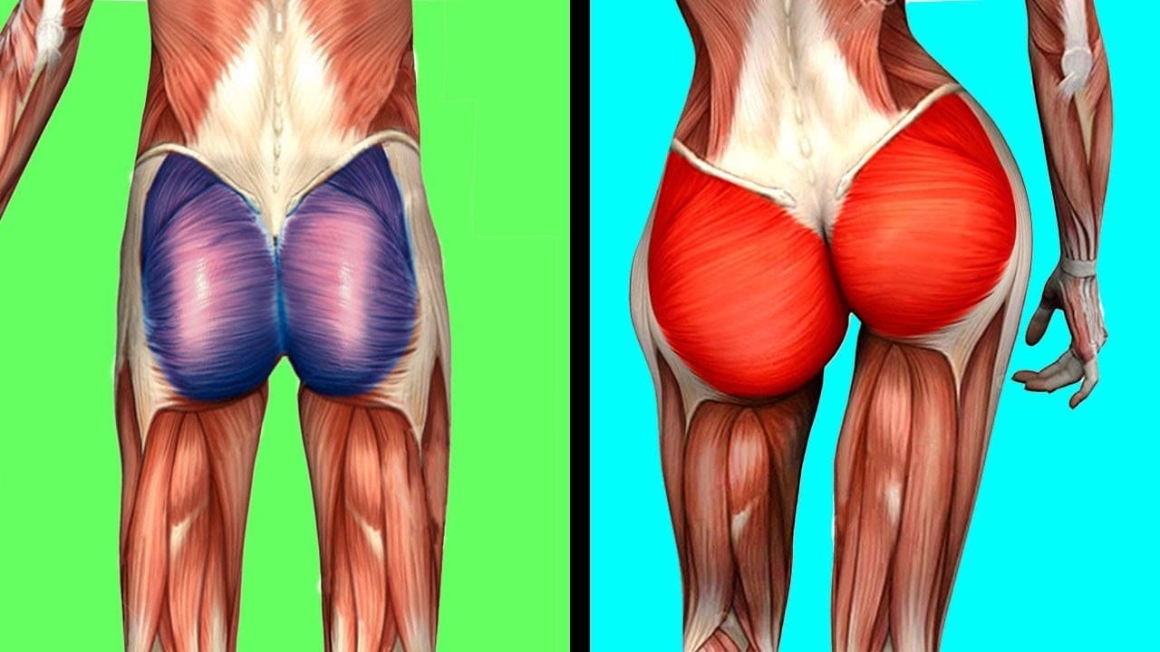 Gluteus Minimus Exercises
