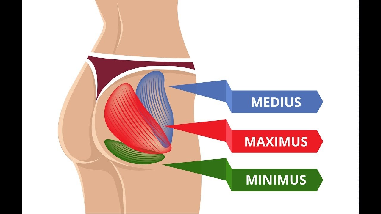 Gluteus Minimus Exercises