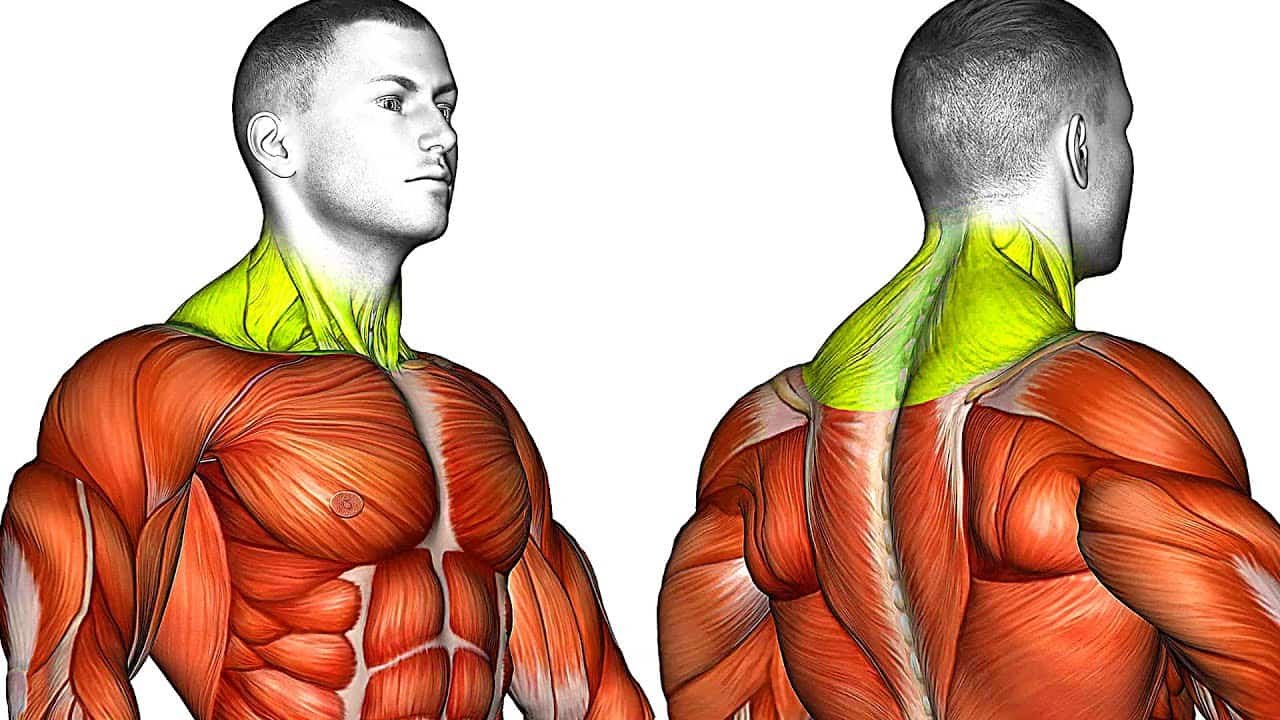 Tech Neck Exercises