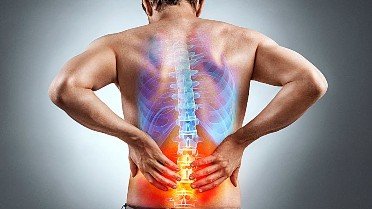 Lower Back Pain When Coughing mrknock.com