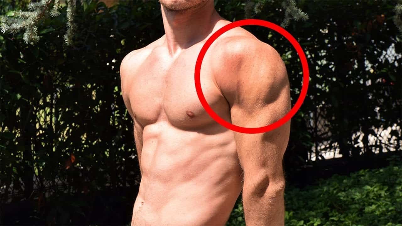 Calisthenics Shoulder Workout mrknock.com