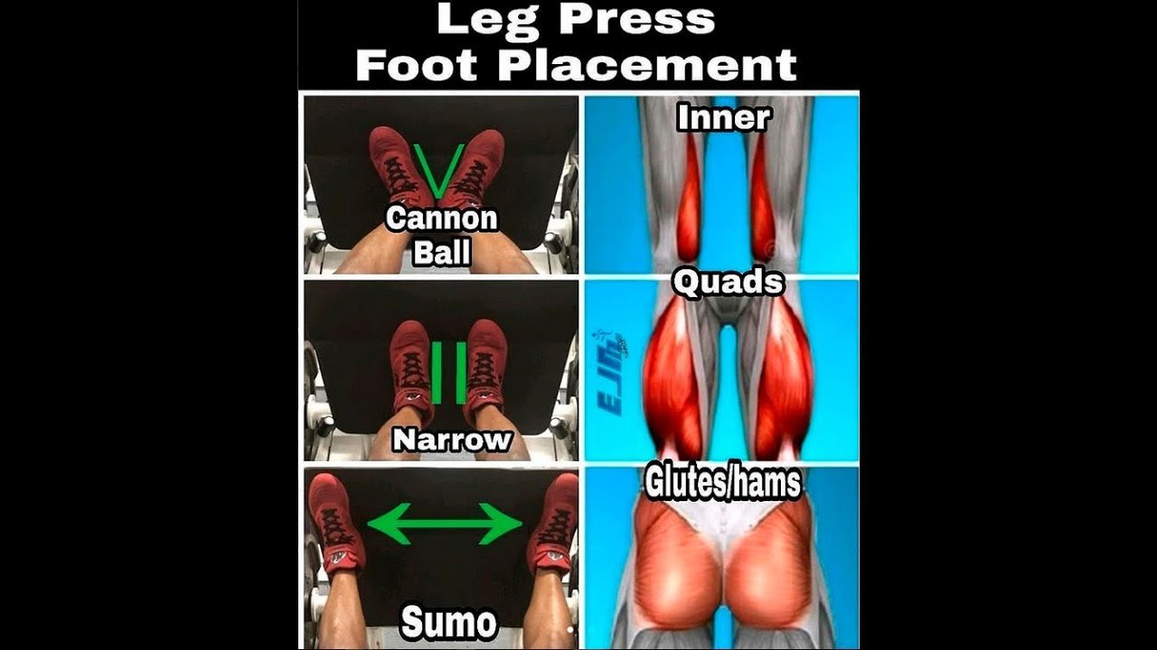 Leg Press Foot Placement mrknock.com