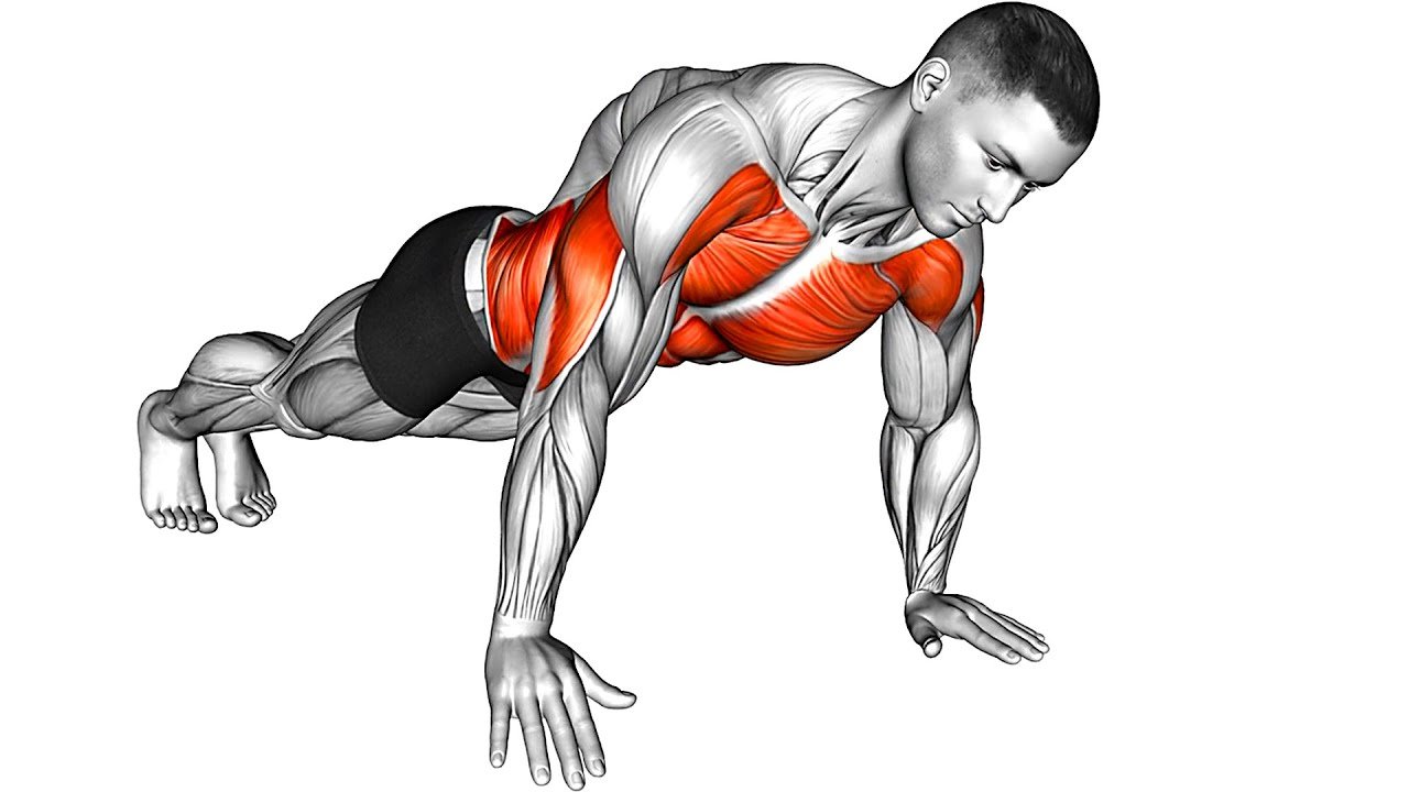 scapular push ups mrknock.com
