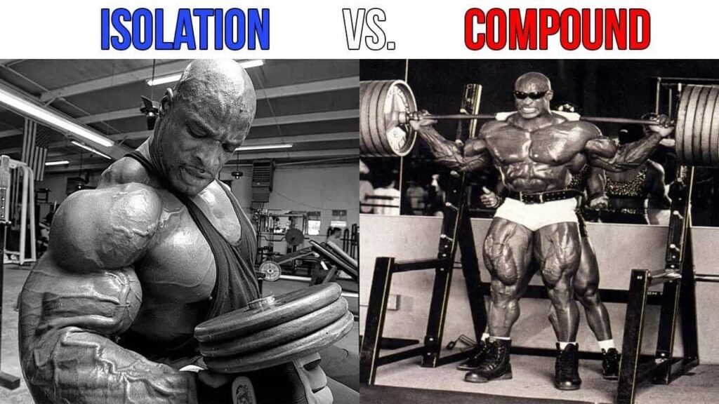 Strength Training Anatomy mrknock.com