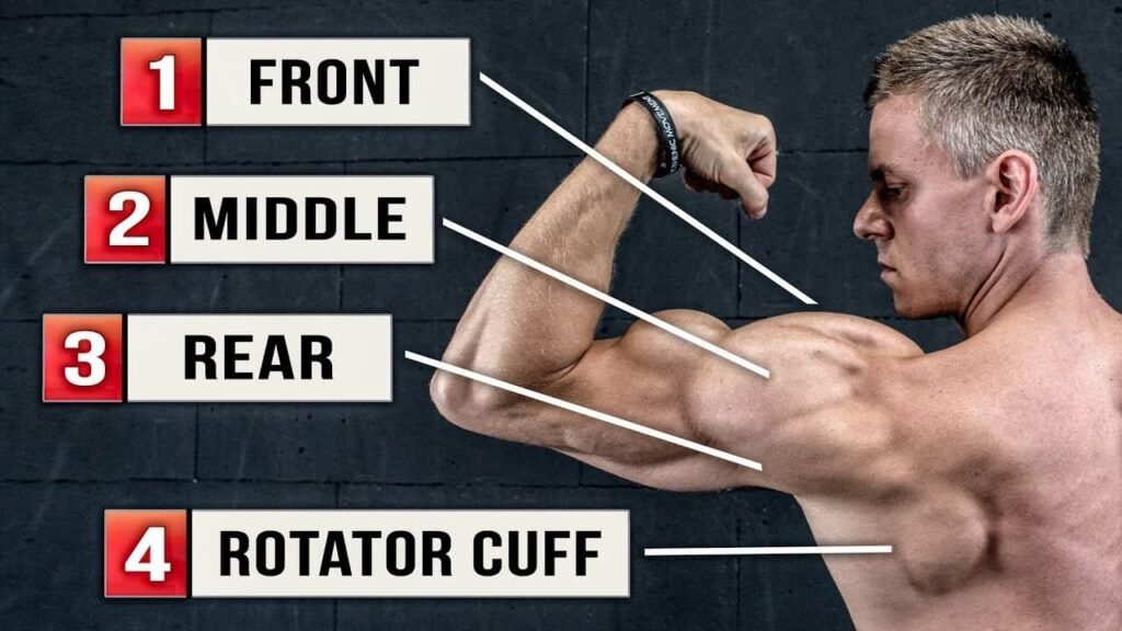 Calisthenics Shoulder Exercises