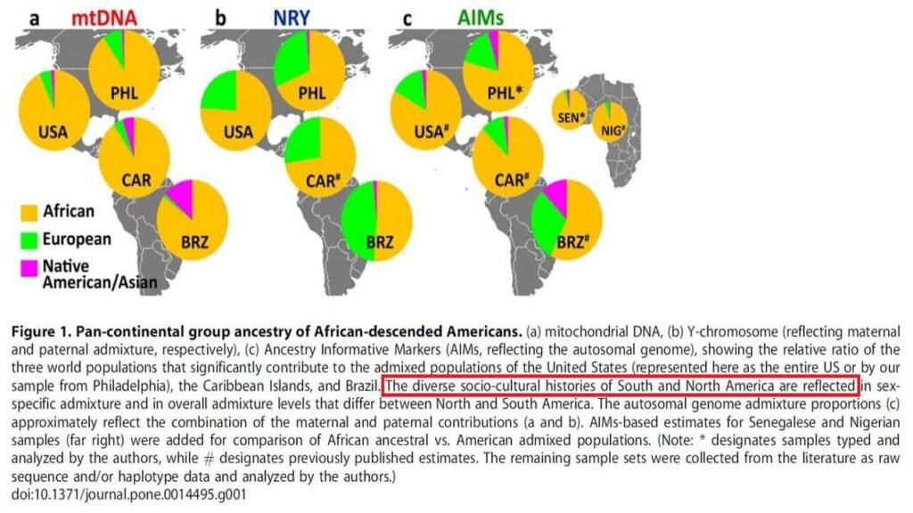 African Holistic Health
