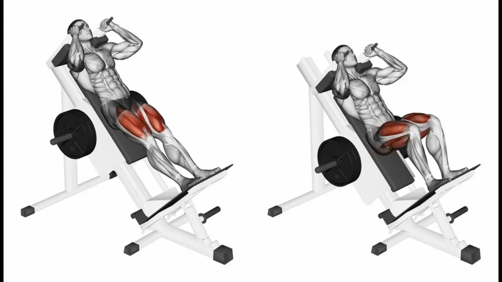 The Ultimate Guide to the V Squat: Benefits, Form, and Variations