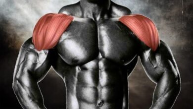 Guide to Anterior Deltoid Exercises