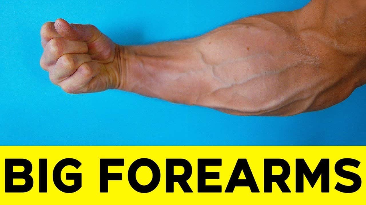 Best Forearm Exercise Equipment: Strengthen Your Grip