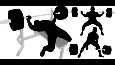 Squat, Bench, and Deadlif