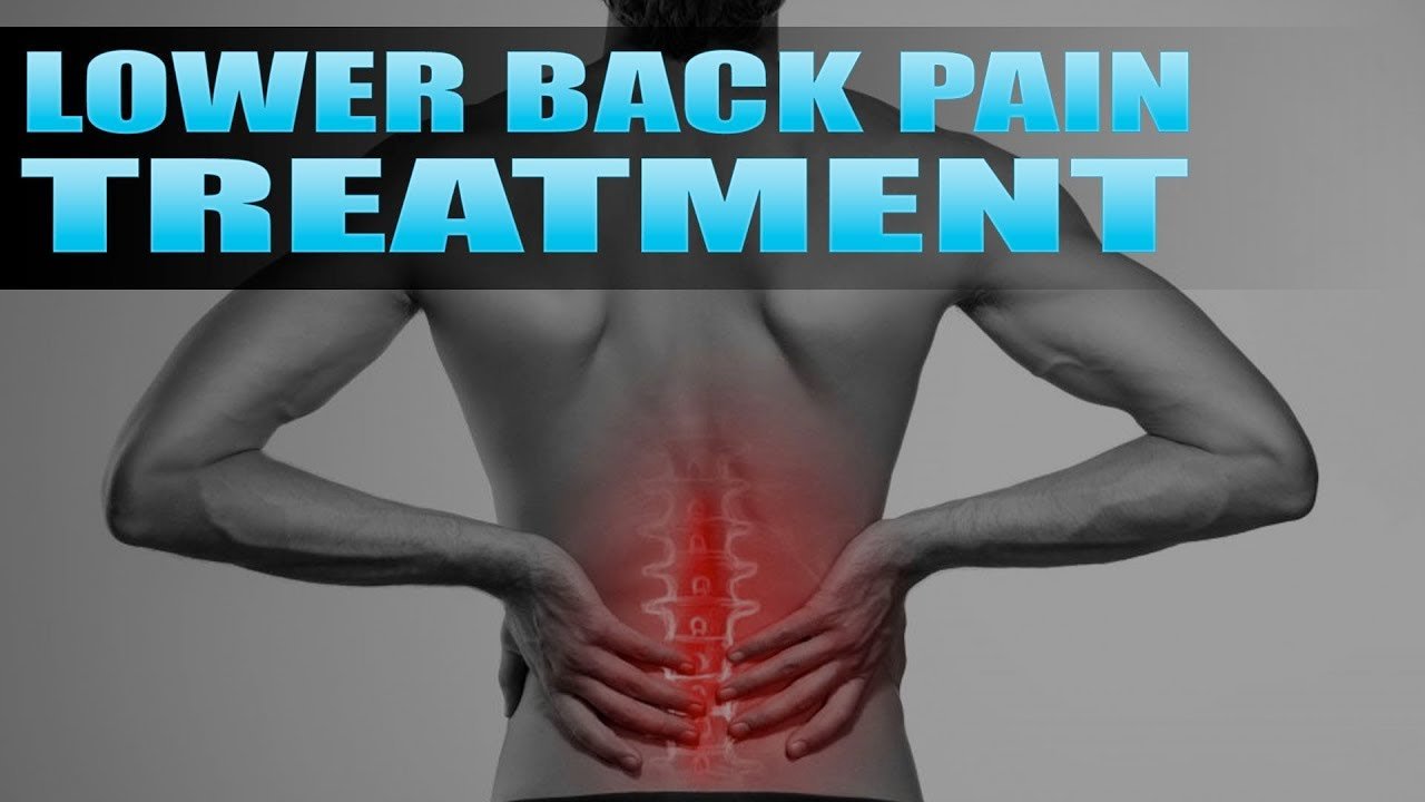 The Vertebrogenic Low Back Pain: Understanding the Backbone