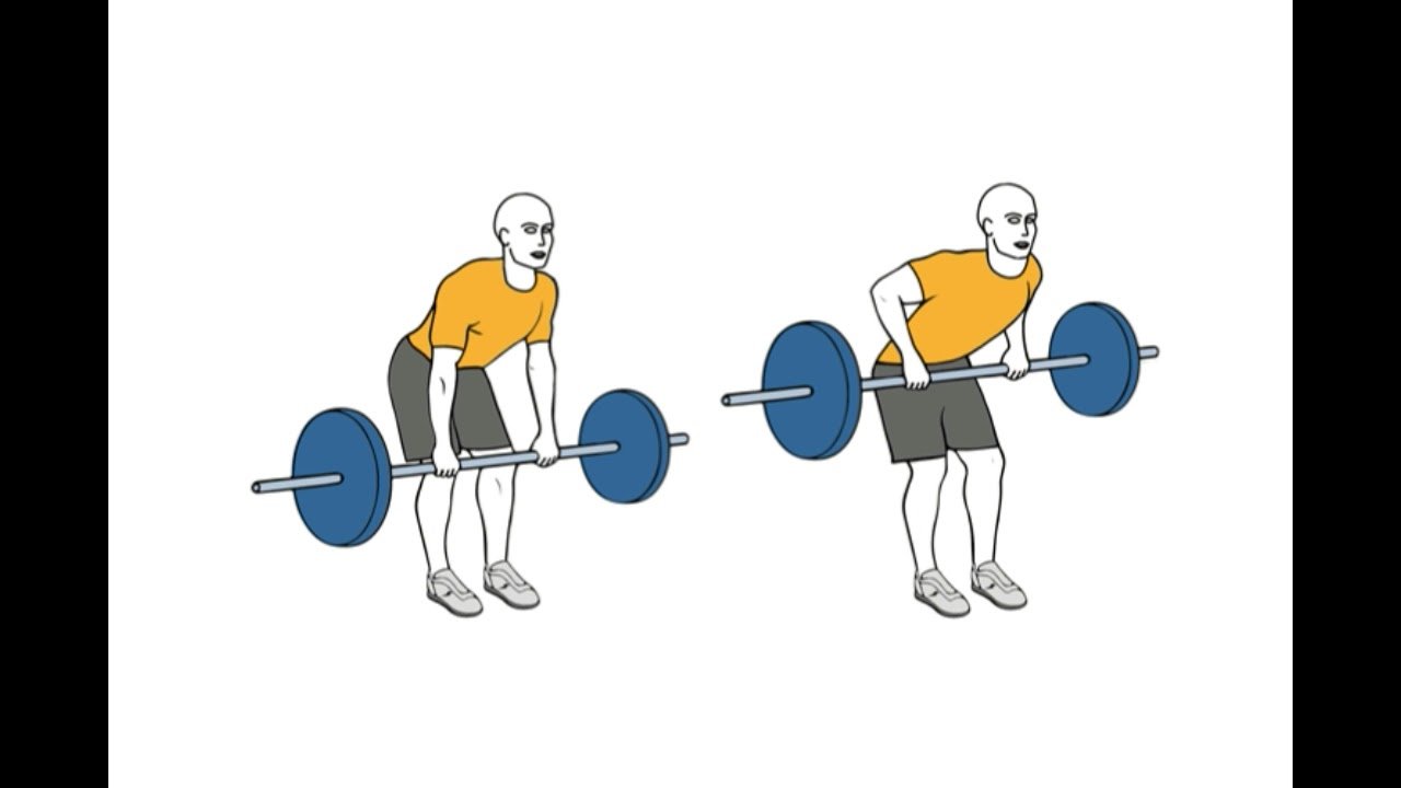 Complete Guide To Remo Con Barra: Mastering The Barbell Row