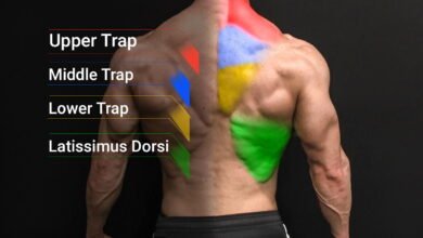 Lower Trap Workout