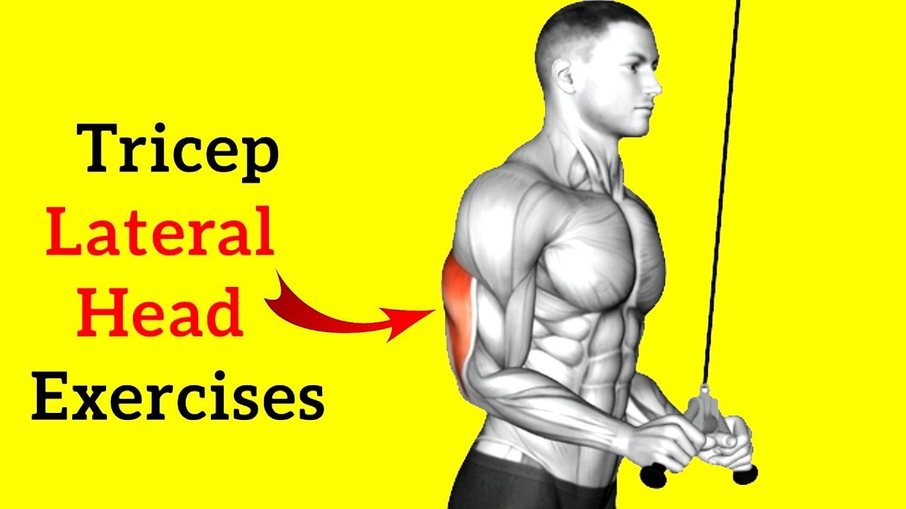 Top 10 Tricep Exercises For Tricep Lateral Head: Bigger Arms