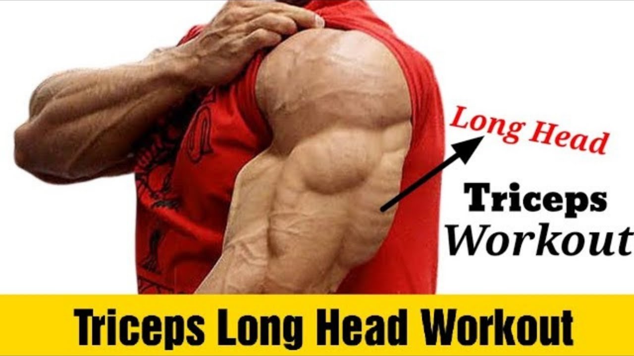 Best Long Head Tricep Exercises For Bigger Stronger Arms